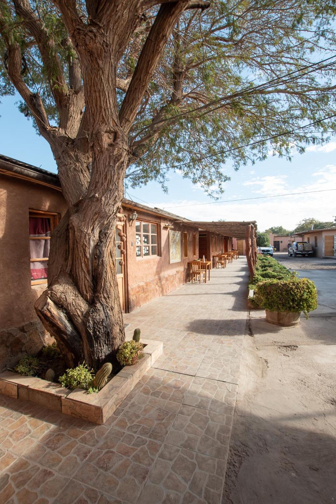 Casa Lickana B&B San Pedro de Atacama Exteriör bild